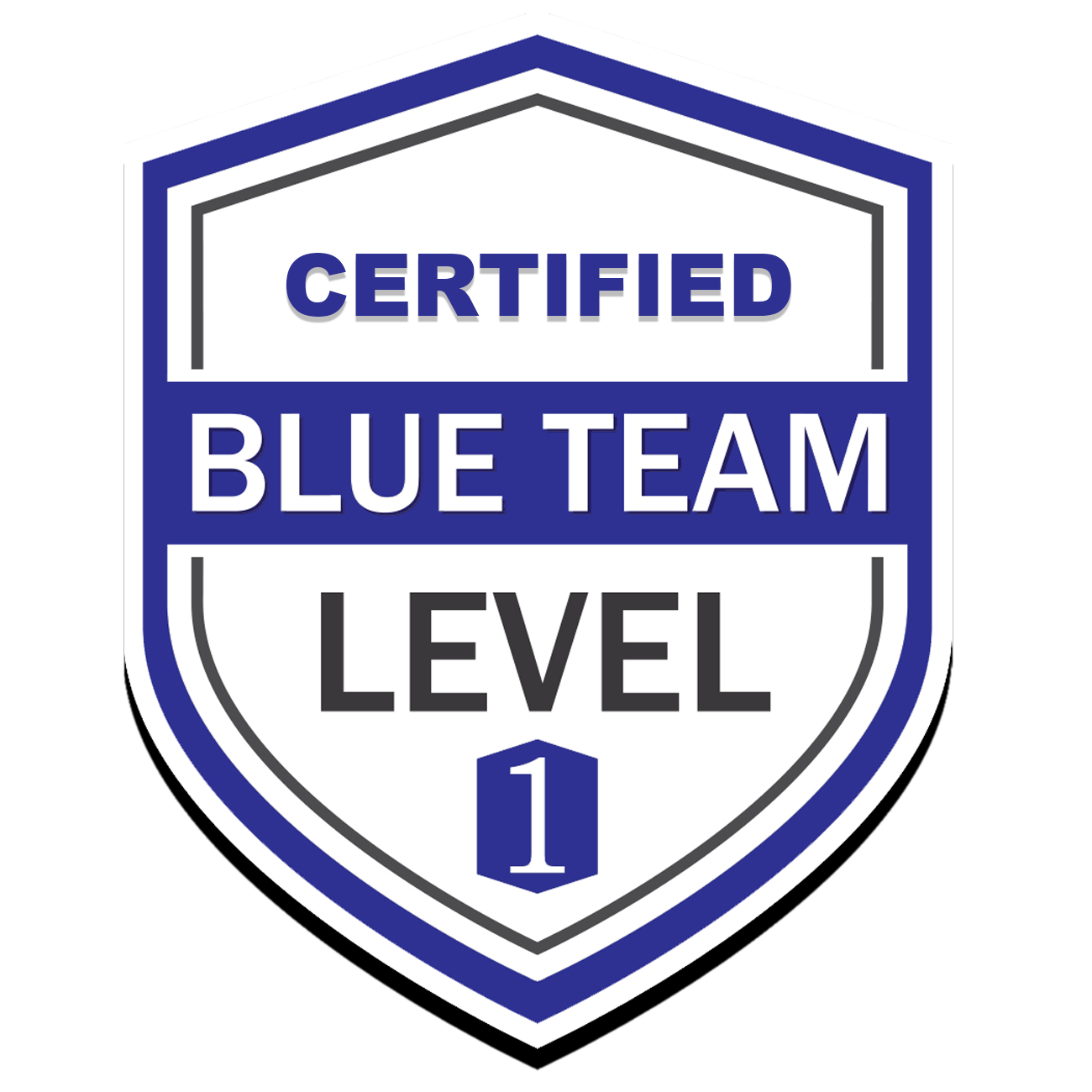 Blue Team Level 1